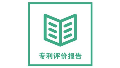 專利權(quán)評估報告